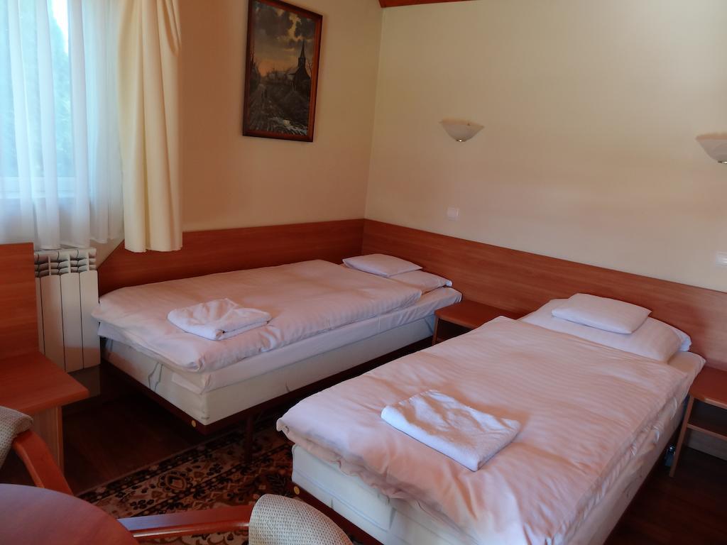 Motel Comet Przeźmierowo Værelse billede